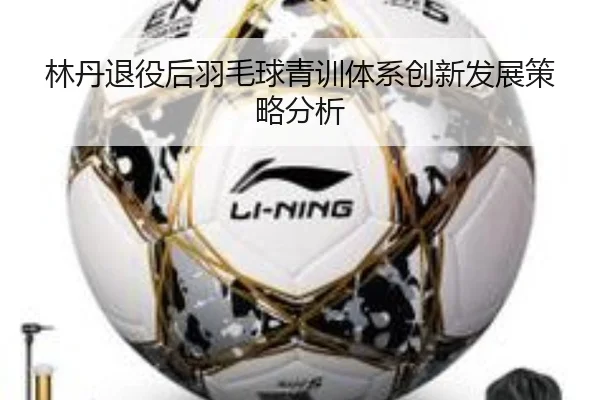 林丹退役后羽毛球青训体系创新发展策略分析