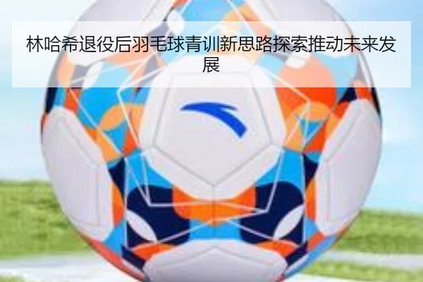 林哈希退役后羽毛球青训新思路探索推动未来发展