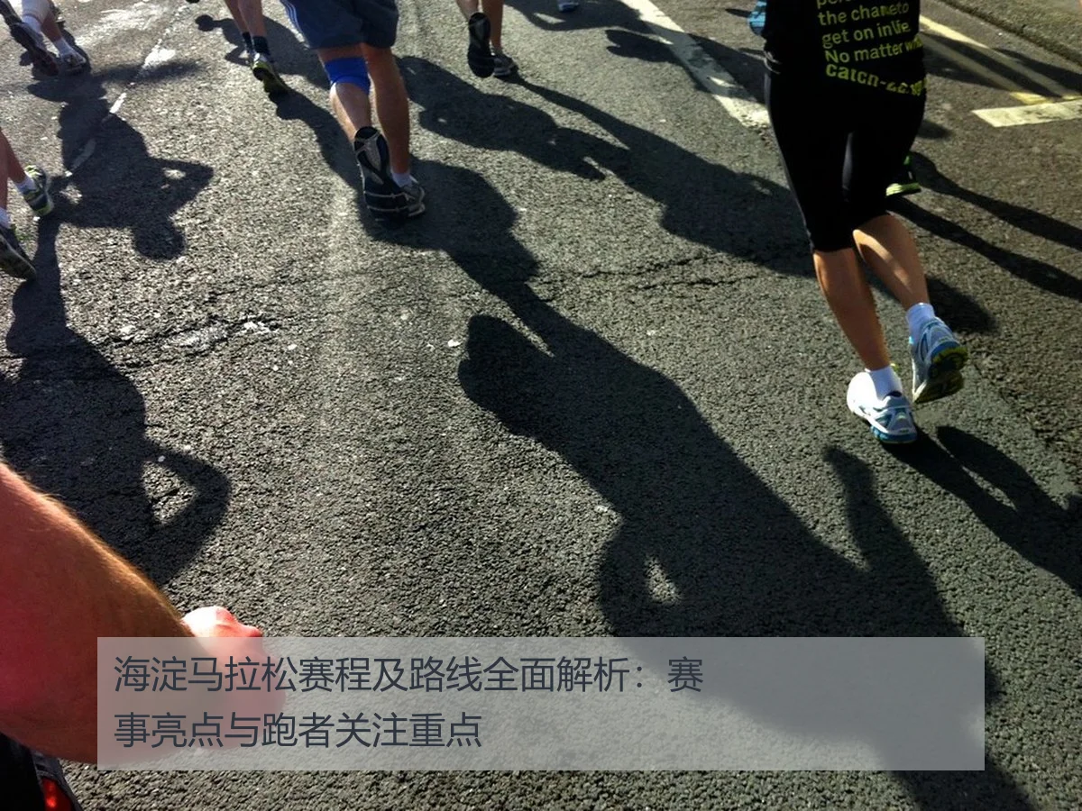 海淀马拉松赛程及路线全面解析：赛事亮点与跑者关注重点